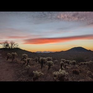 Meet your Posher, Ray